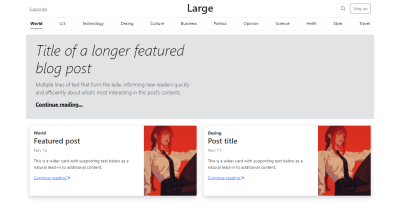 Full WordPress Development – From Idea to Launch